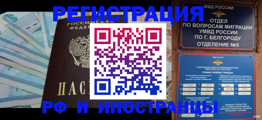 временная регистрация недорого в Мурино